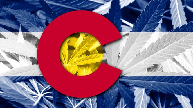 21 - Software Companies In Colorado Changing The Cannabis Industry