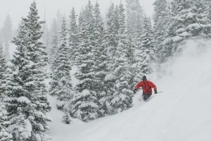 Unique benefits Denver companies offer