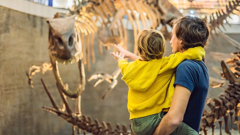 Get Out And Explore -- A Look At The Top Museums In Colorado